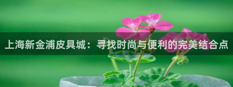 辉达娱乐总部