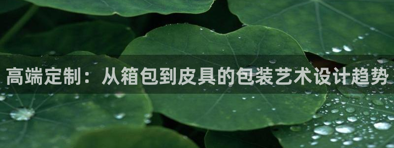 辉达娱乐总部