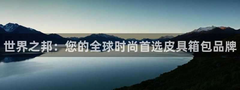 辉达集团官方网站