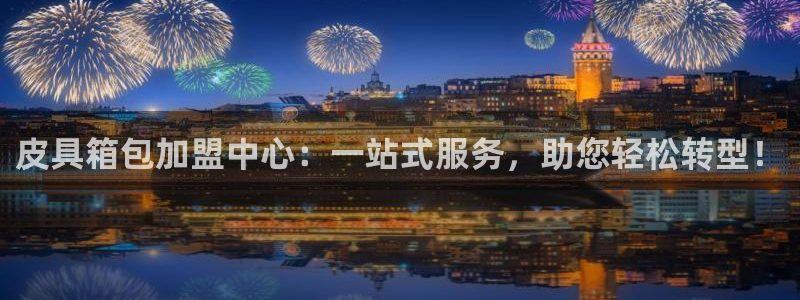 辉达娱乐电子