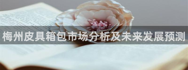 辉达娱乐电子游艺