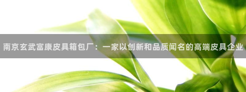 辉达娱乐最新版本更新内容