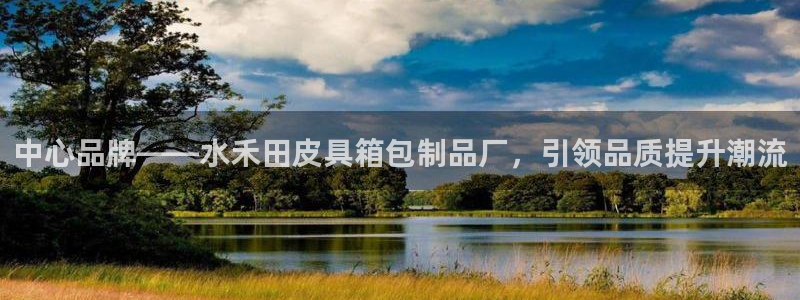 辉达娱乐最新现状
