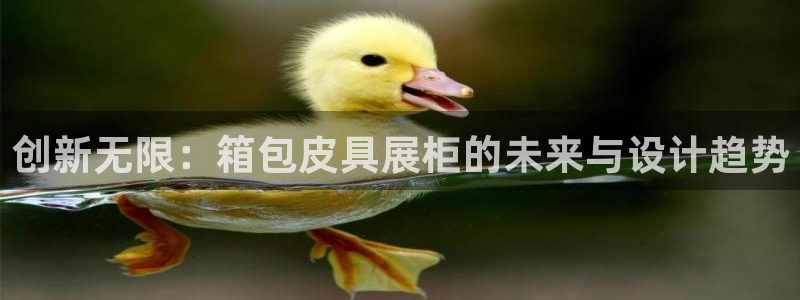 辉达娱乐招商