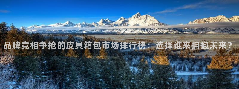 辉达娱乐官方网址
