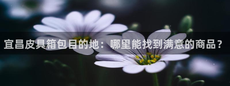 辉达娱乐五39444