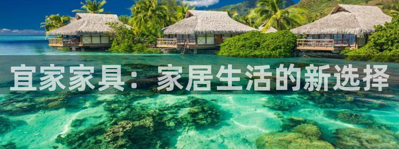 达利娱乐王辉