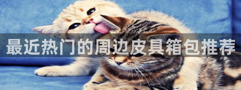 辉达娱乐珈75775