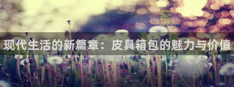 辉达娱乐