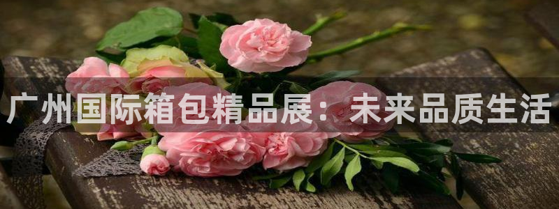 龙腾辉达电子娱乐