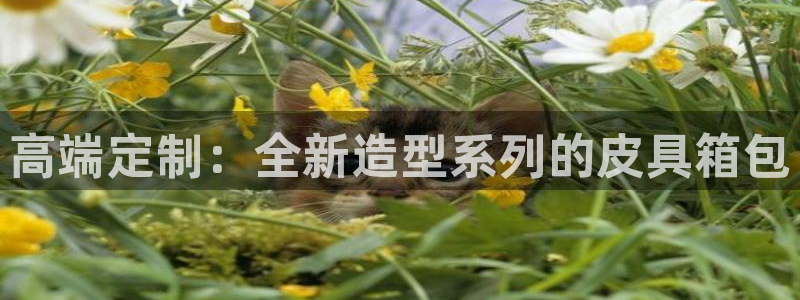 辉达娱乐重庆时时彩