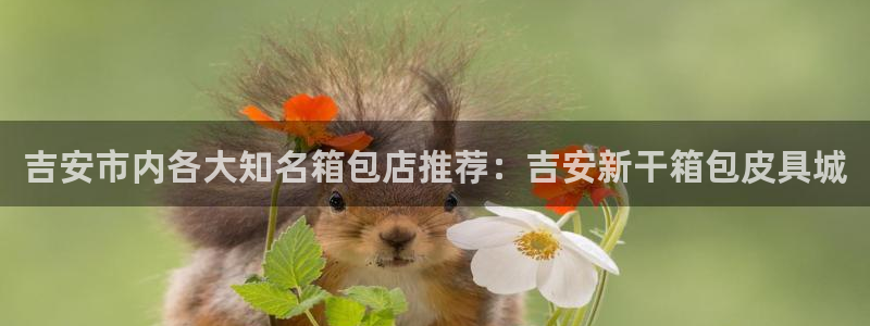 辉达娱乐己39444