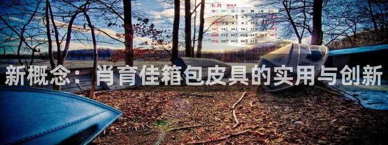 辉达娱乐五39444