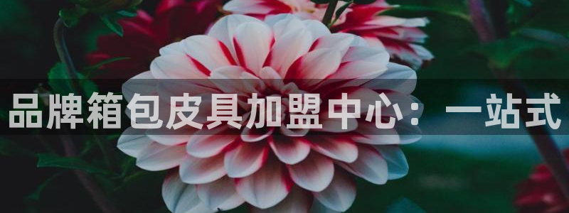 辉达娱乐丨39444