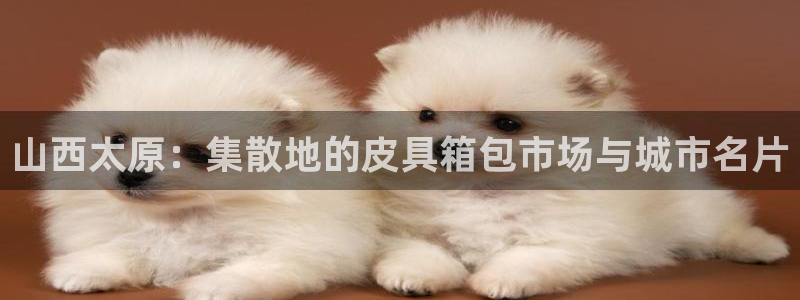 正规辉达娱乐开户注册