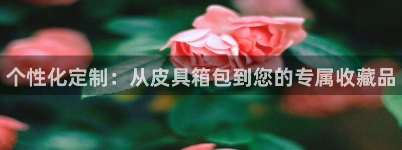 辉达平台官网登录