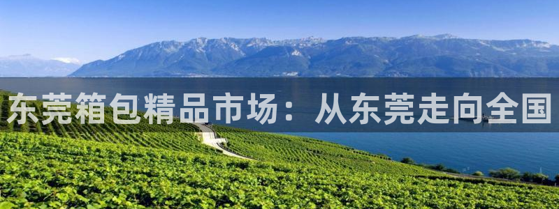 辉达娱乐电子游艺