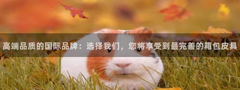 辉达娱乐线路检测