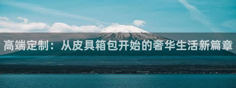 辉达集团官方网站