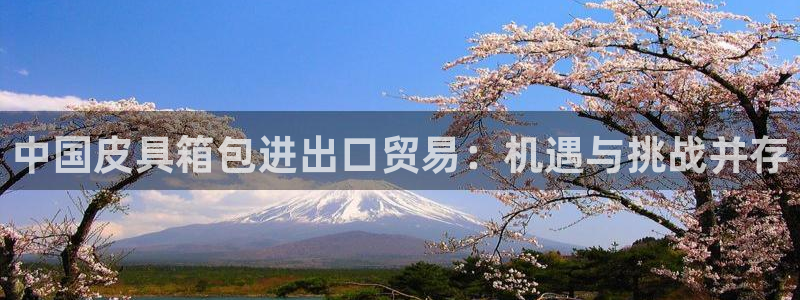 辉达娱乐最新现状