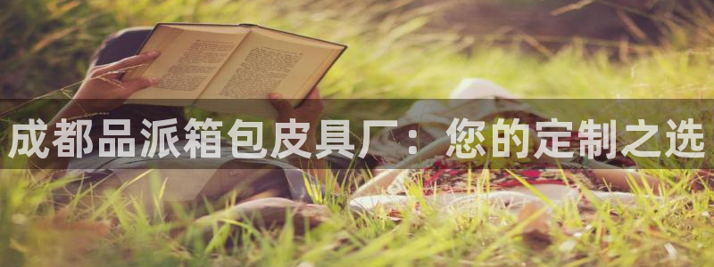 辉达娱乐开户注册