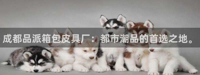 辉达娱乐加扣75775