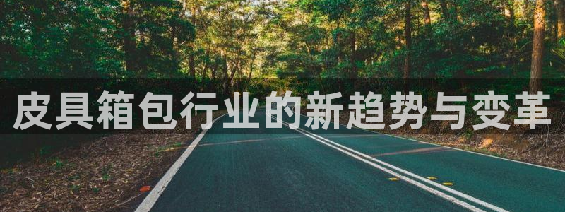 辉达娱乐最新版本更新内容