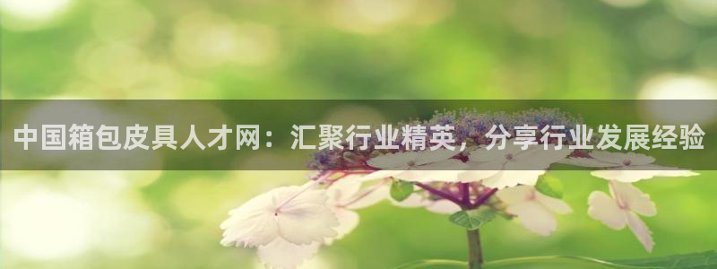 辉达娱乐线路检测