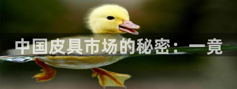 辉达娱乐排列三