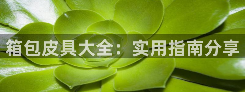 正规辉达娱乐平台