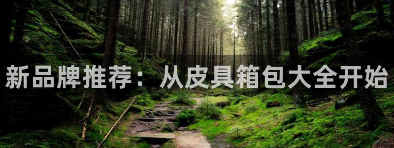 正规辉达娱乐在线游戏