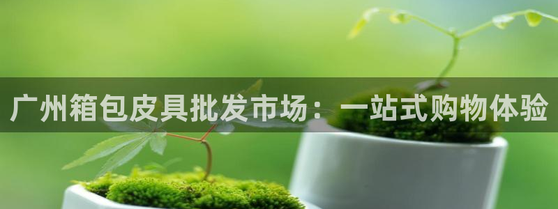 辉达集团官方网站