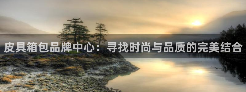 辉达官网登录入口入口