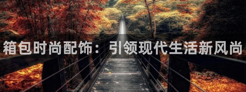 辉达集团官方网站