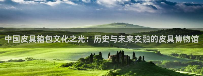 辉达平台官网下载