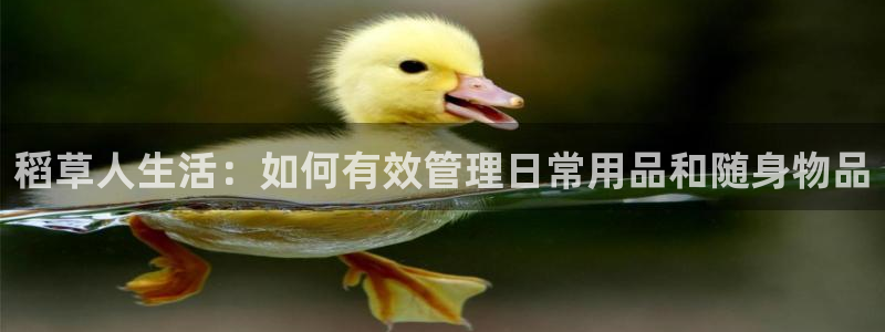 辉达平台注册官方网站入口