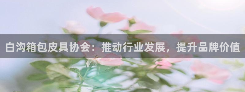 辉达娱乐加q75775