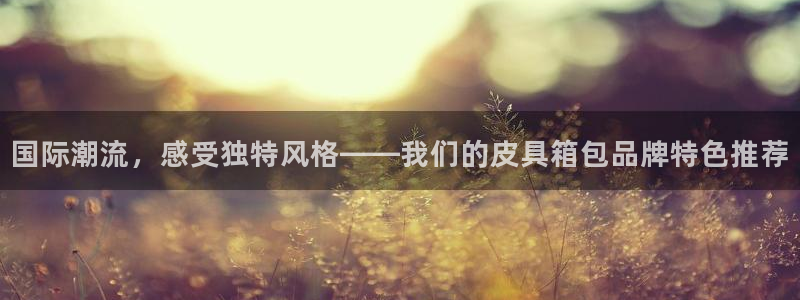 辉达平台官网登录