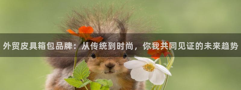 辉达平台官网登录