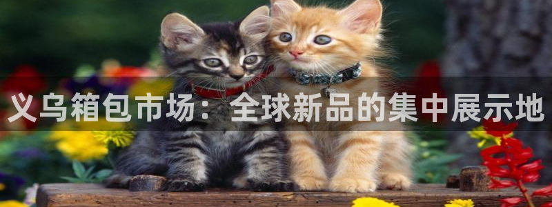 辉达娱乐己75505