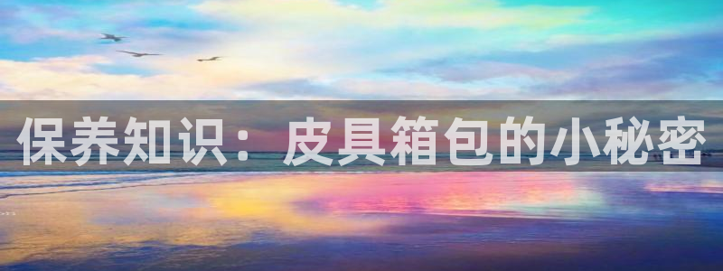 辉达娱乐游戏.直开.中国