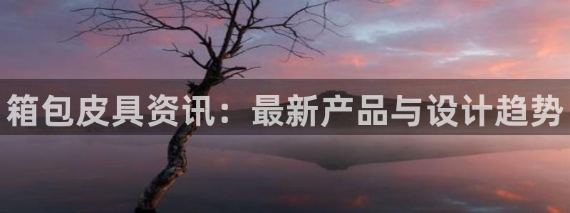 信誉辉达娱乐开户注册