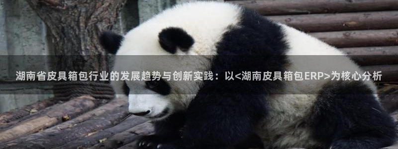 正规辉达娱乐平台