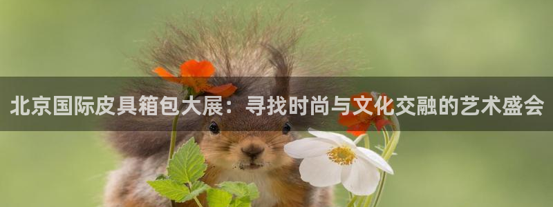 专业辉达娱乐在线游戏