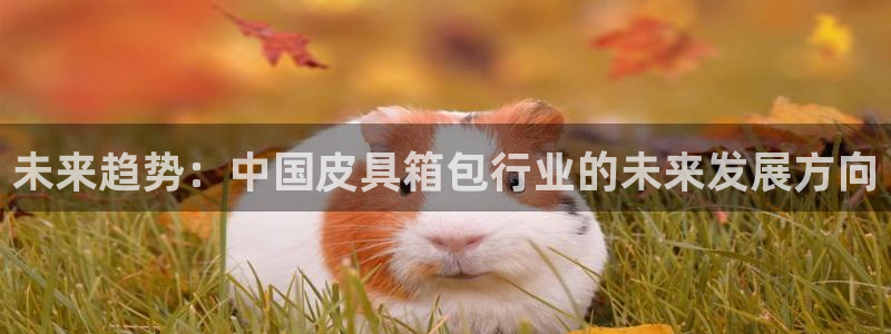 辉达娱乐丿75505