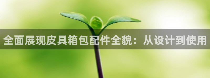 辉达娱乐五39444