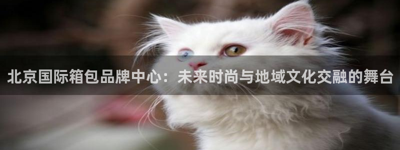 辉达平台官网登录