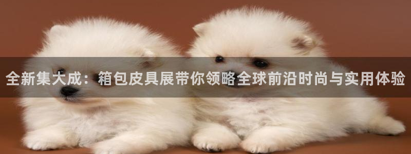 辉达娱乐重庆时时彩注册