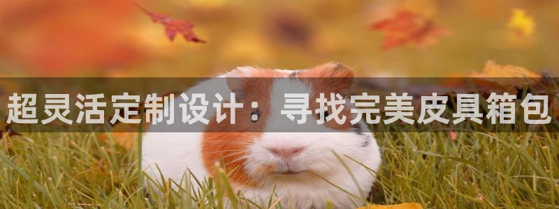 辉达娱乐线路检测