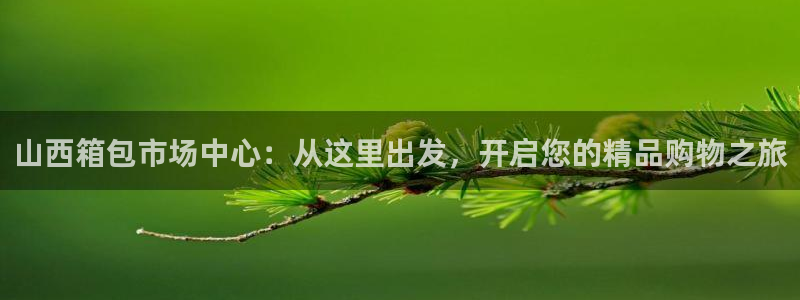 辉达娱乐丶75505